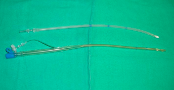 File:Pulmonary Vein Vent Catheter.png