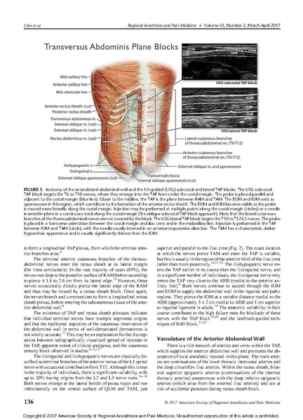 File:11-27 Abdominal wall blocks.pdf