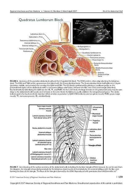 File:11-27 Abdominal wall blocks.pdf