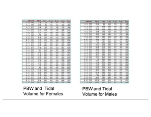 ARDSNET PBW and Tidal Volumes.pdf