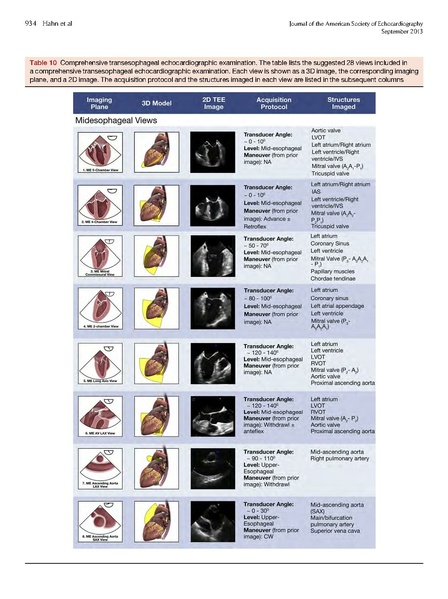 File:ASE 2013 Performing-Comprehensive-TEE.pdf