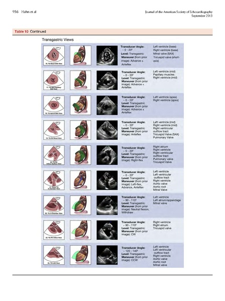 File:ASE 2013 Performing-Comprehensive-TEE.pdf