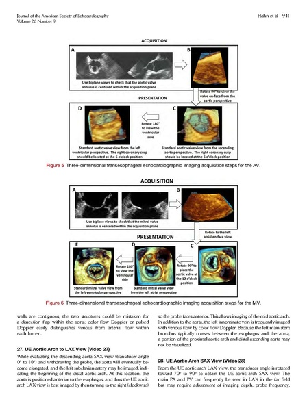 File:ASE 2013 Performing-Comprehensive-TEE.pdf