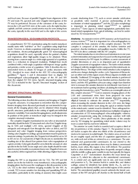 File:ASE 2013 Performing-Comprehensive-TEE.pdf