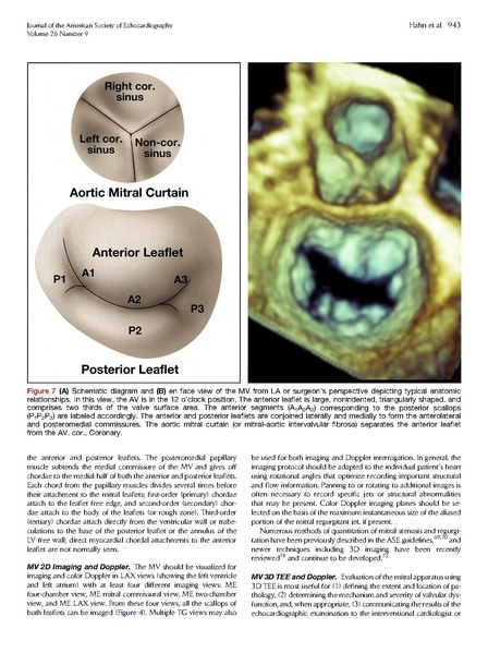 File:ASE 2013 Performing-Comprehensive-TEE.pdf
