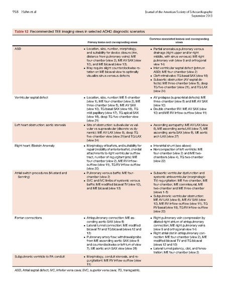 File:ASE 2013 Performing-Comprehensive-TEE.pdf
