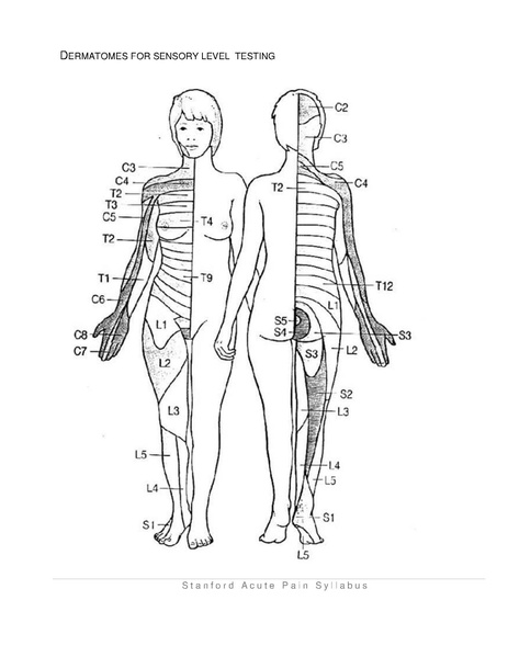 File:Acute Pain Syllabus 2.2019.pdf