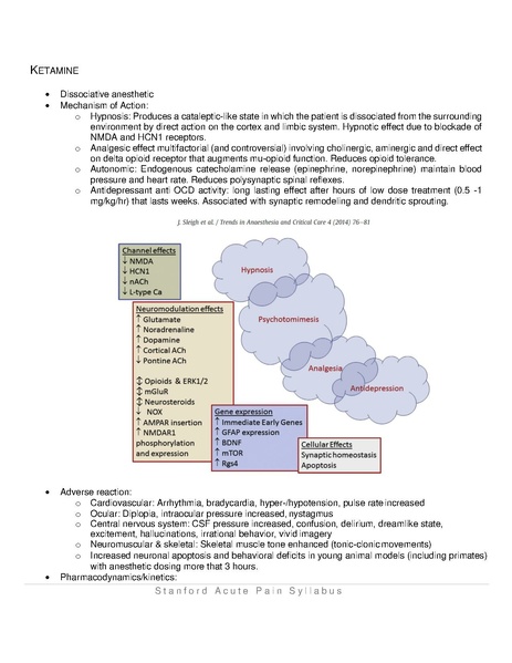 File:Acute Pain Syllabus 2.2019.pdf