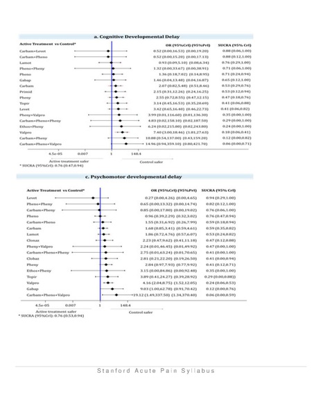File:Acute Pain Syllabus 2.2019.pdf