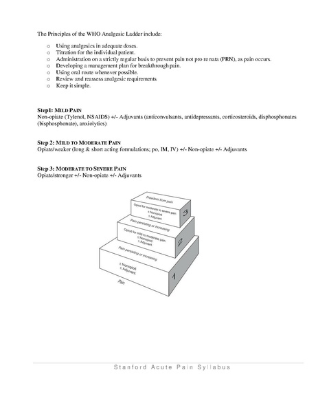 File:Acute Pain Syllabus 2.2019.pdf