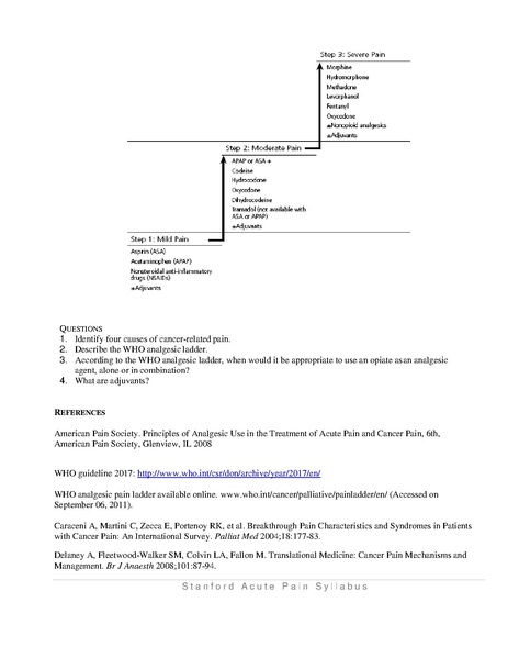 File:Acute Pain Syllabus 2.2019.pdf