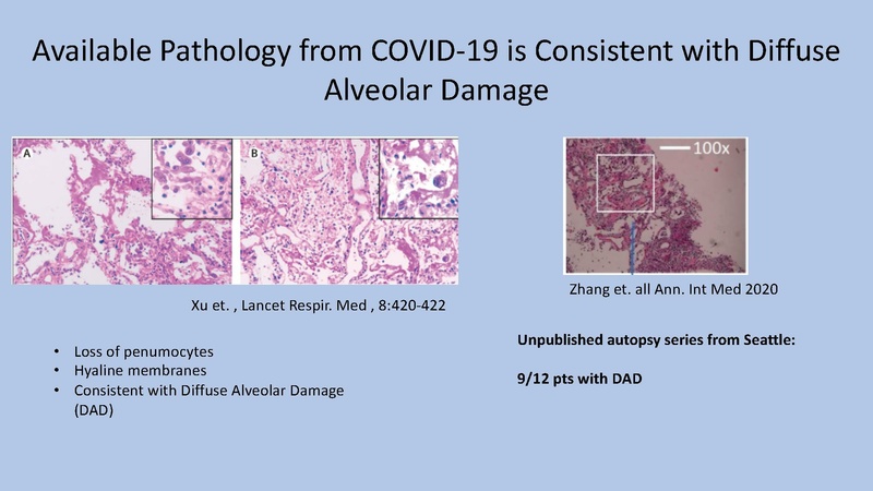 File:Anesthesia Lecture COVIDICU.pdf
