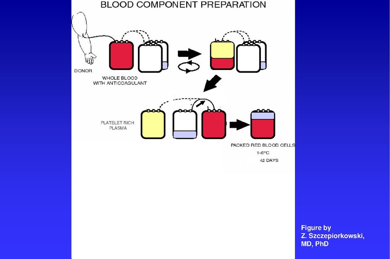 File:Anesthesia TM 04-02-18 HO.pdf