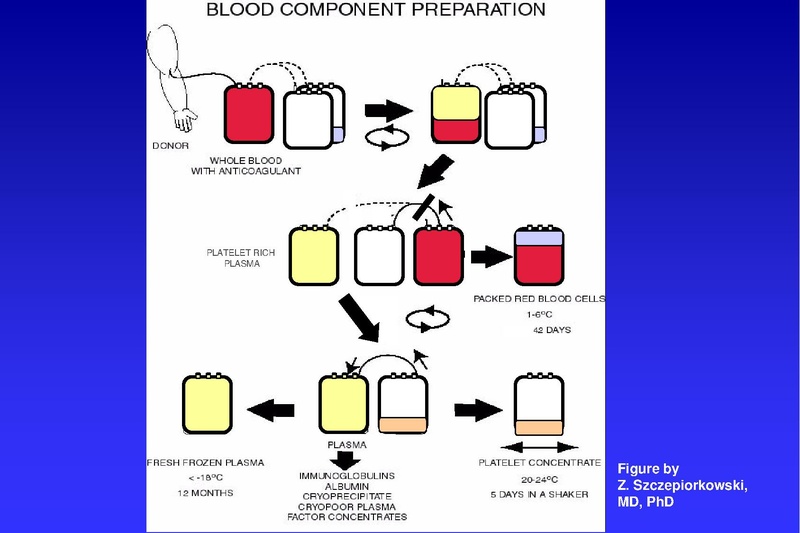 File:Anesthesia TM 04-02-18 HO.pdf