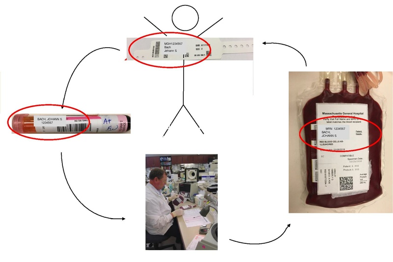 File:Anesthesia TM 04-02-18 HO.pdf