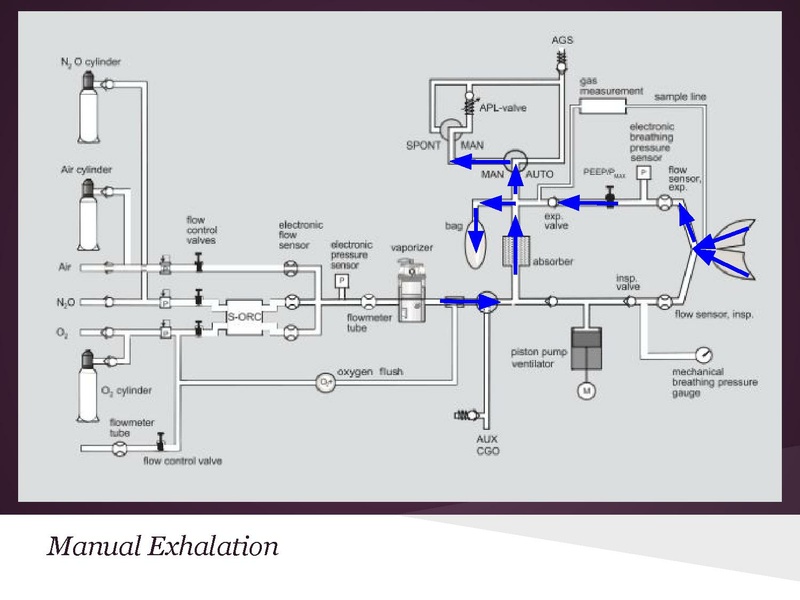 File:Anesthesia machine review.pdf