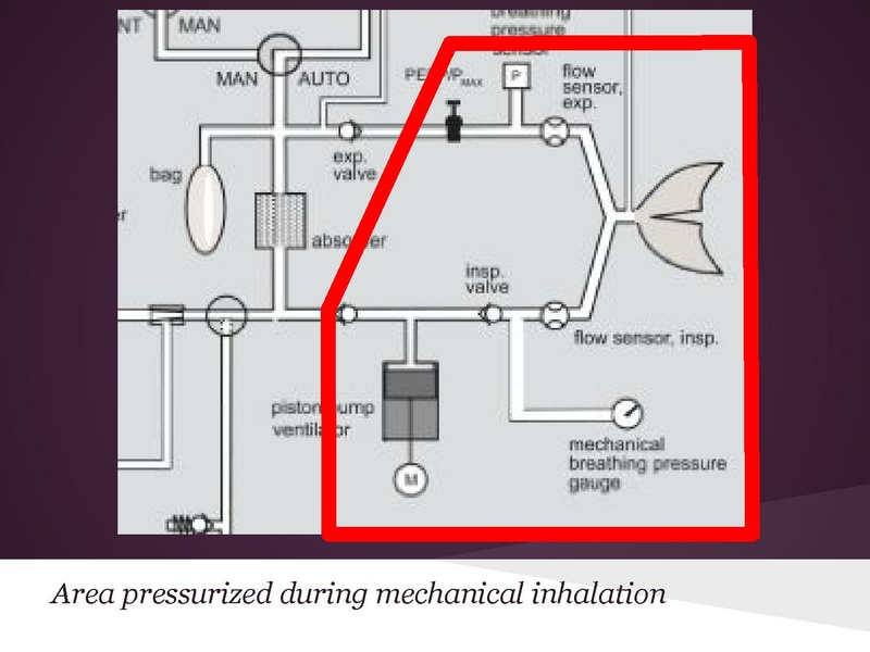 File:Anesthesia machine review.pdf