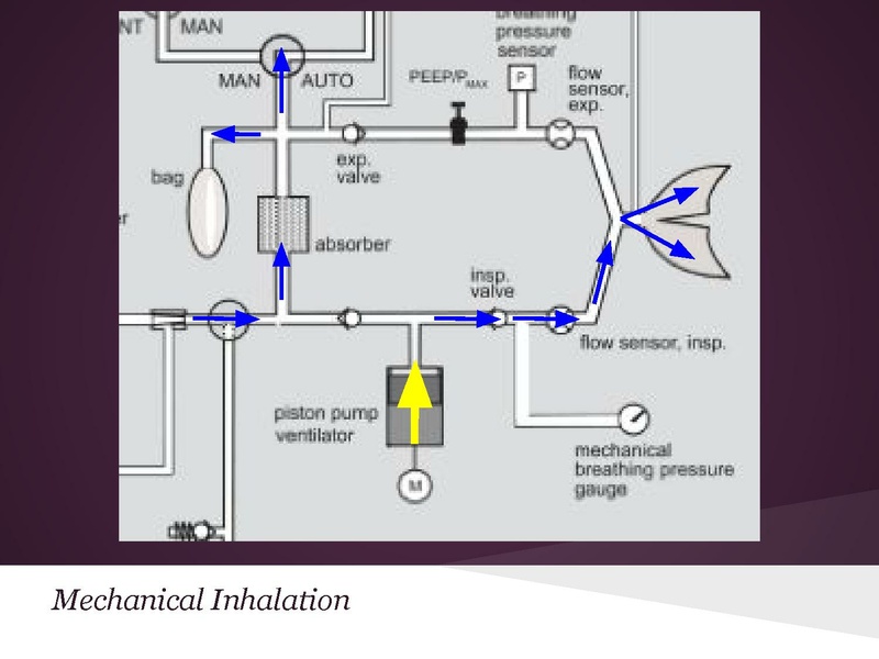 File:Anesthesia machine review.pdf