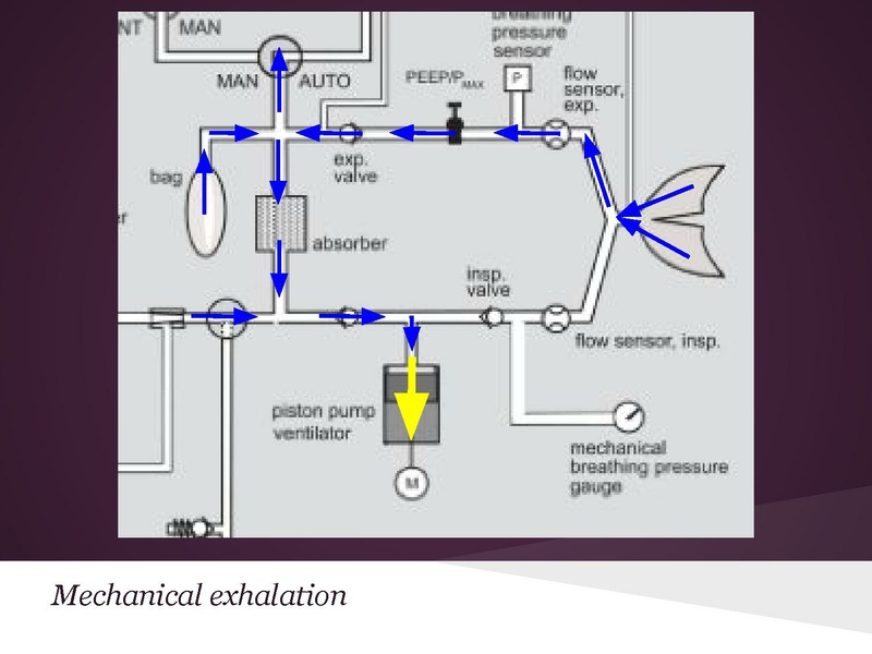 File:Anesthesia machine review.pdf