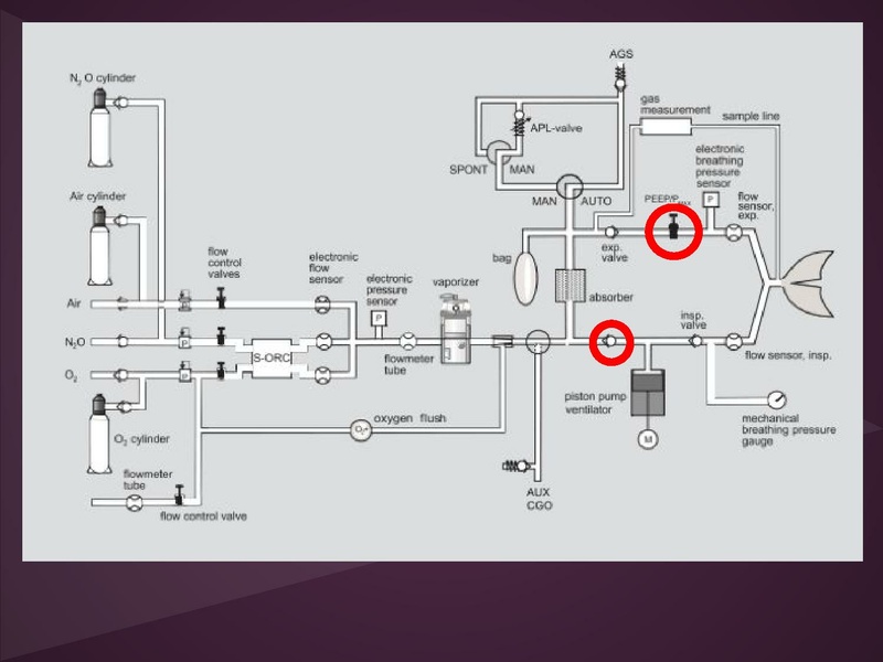 File:Anesthesia machine review.pdf