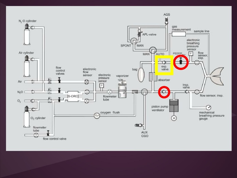File:Anesthesia machine review.pdf