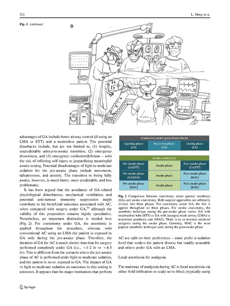 File:Awake Crani guide Meng and Gelb Can J Anaesth 2017.pdf