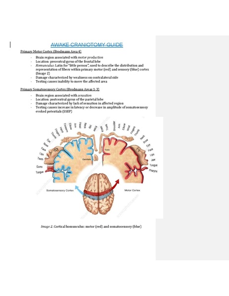 File:Awake Craniotomy Guide 032026.pdf