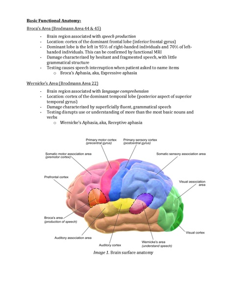 File:Awake Craniotomy Guide final 2022.pdf
