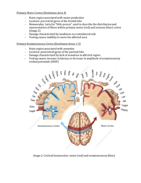 File:Awake Craniotomy Guide final 2022.pdf