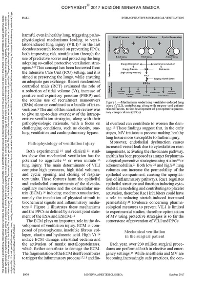 File:Ball intraop vent.pdf