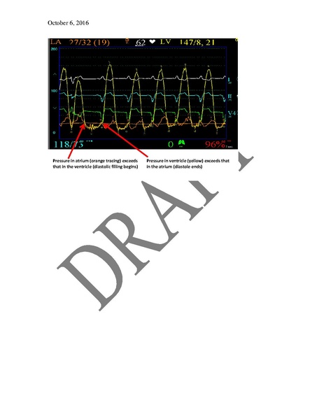 File:Basic Hemodynamics (December 14, 2016).pdf