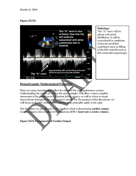 File:Basic Hemodynamics (December 14, 2016).pdf
