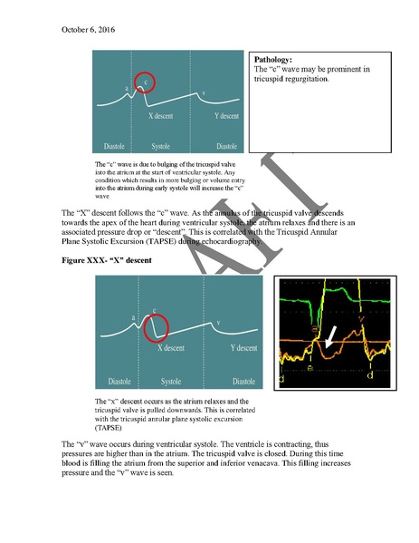File:Basic Hemodynamics (December 14, 2016).pdf