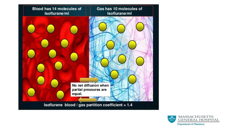 File:Basic pharmacological principals final.pdf