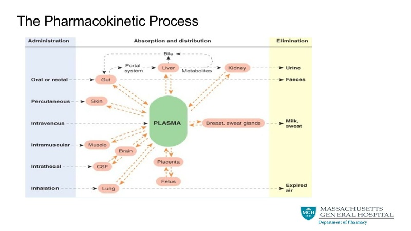 File:Basic pharmacological principals final.pdf