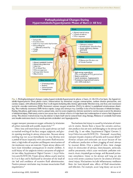 File:Bittner 2014 Periop Anes Management of Burn Patient.pdf