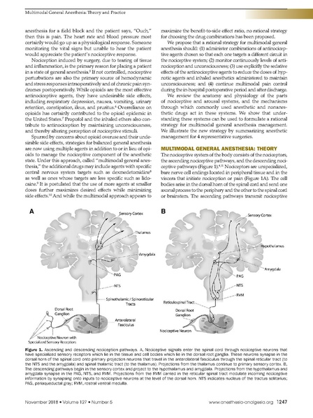 File:Brown MMGA A&A 11 19.pdf