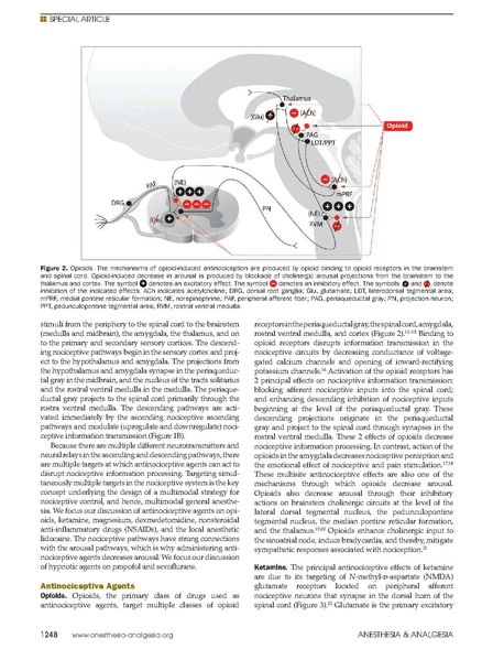 File:Brown MMGA A&A 11 19.pdf