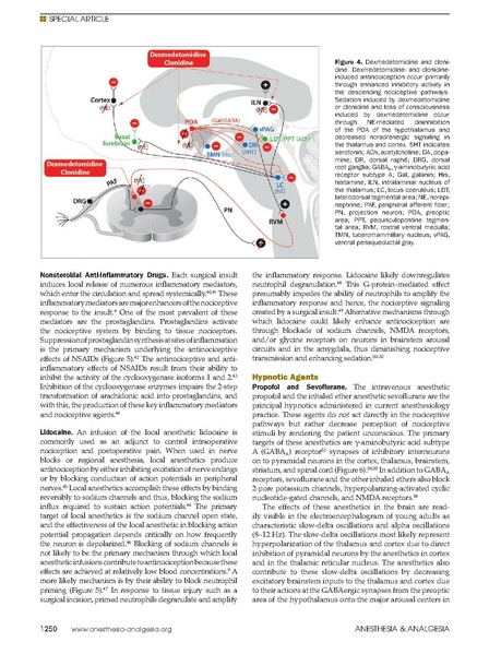 File:Brown MMGA A&A 11 19.pdf