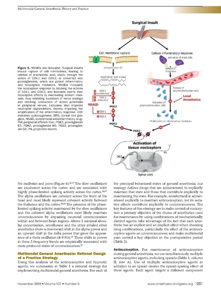 File:Brown MMGA A&A 11 19.pdf