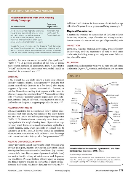 File:Bunt - Knee Pain in Adults and Adolescents.pdf