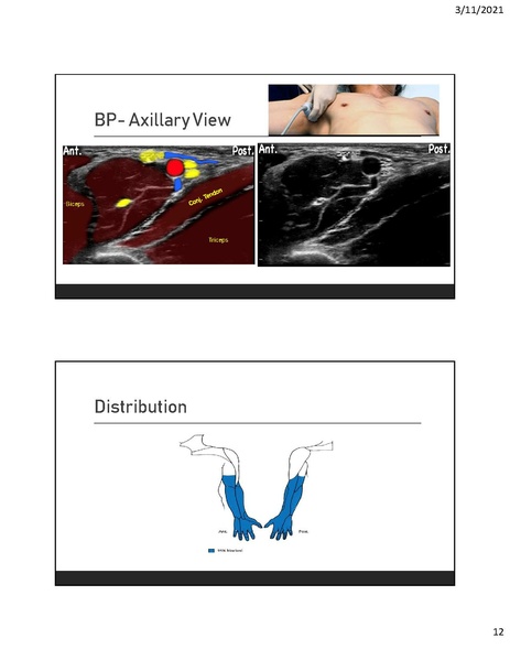 File:CA1 - Introduction to Regional.pdf