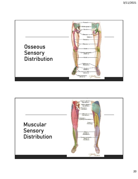 File:CA1 - Introduction to Regional.pdf