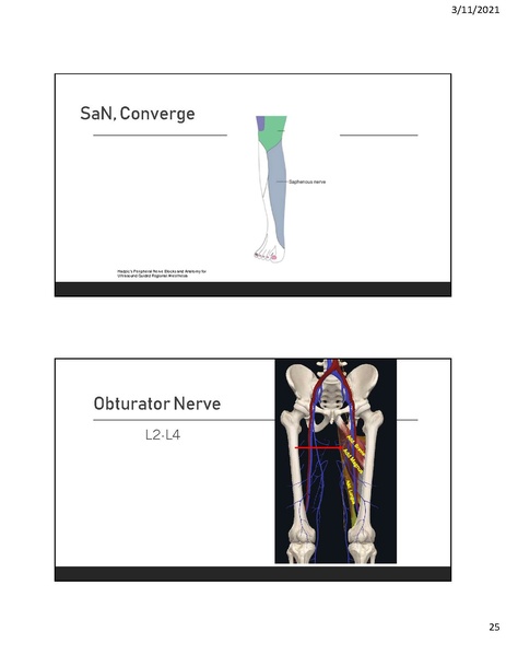 File:CA1 - Introduction to Regional.pdf
