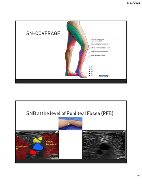 File:CA1 - Introduction to Regional.pdf