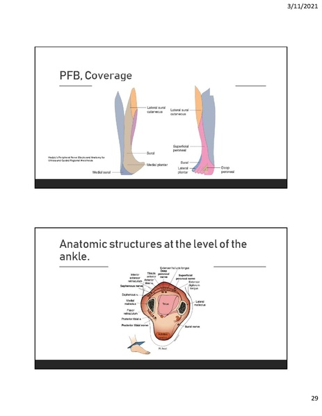 File:CA1 - Introduction to Regional.pdf