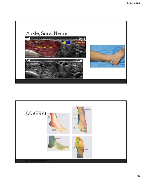 File:CA1 - Introduction to Regional.pdf