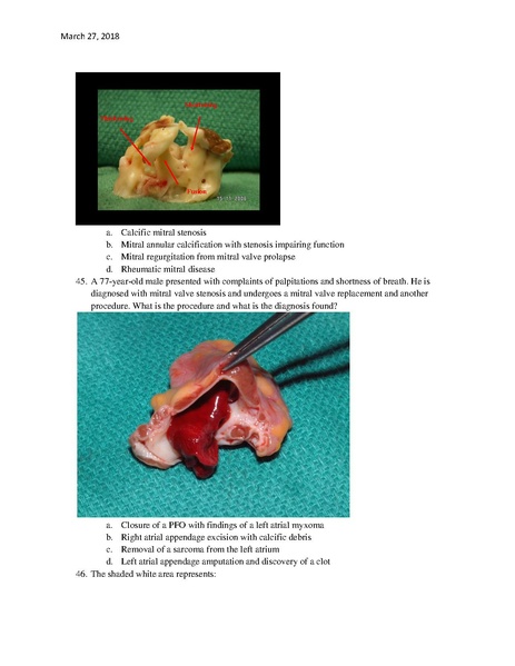 File:CA1 Boards Review Questions (March 27, 2018).pdf