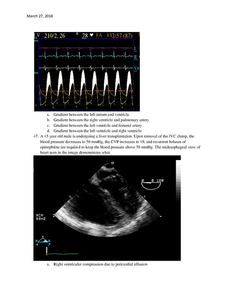 File:CA1 Boards Review Questions (March 27, 2018).pdf