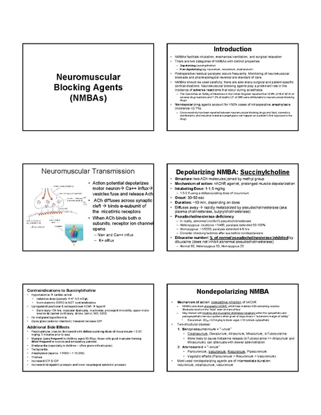 File:CA1 Tutorial Book FINAL.pdf